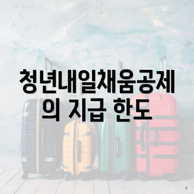 청년내일채움공제의 지급 한도