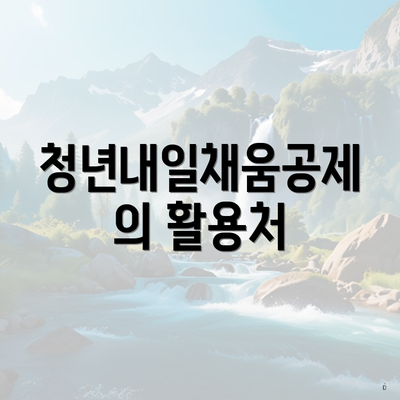 청년내일채움공제의 활용처