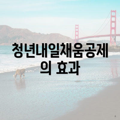 청년내일채움공제의 효과