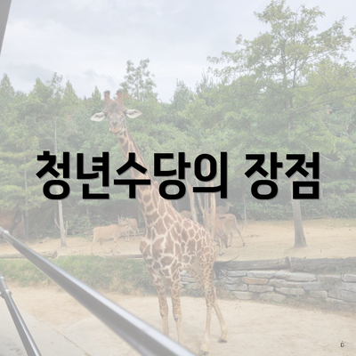청년수당의 장점