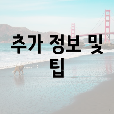 추가 정보 및 팁