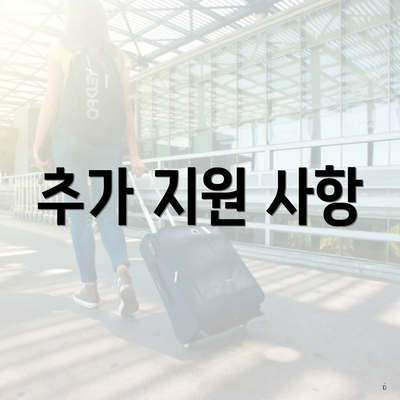 추가 지원 사항