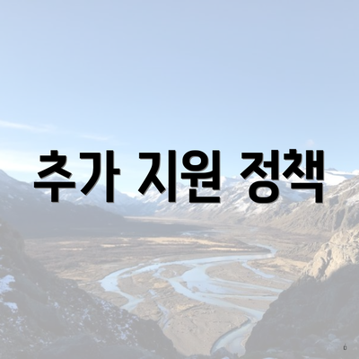 추가 지원 정책