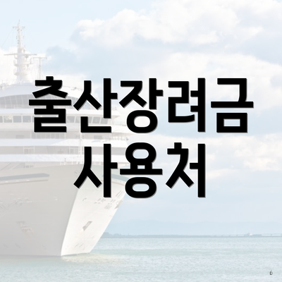 출산장려금 사용처