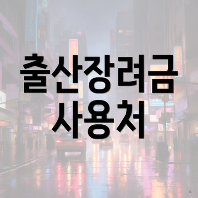 출산장려금 사용처