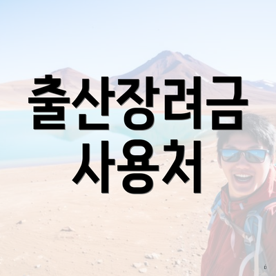 출산장려금 사용처