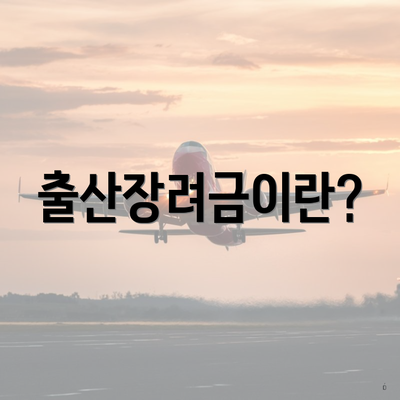 출산장려금이란?