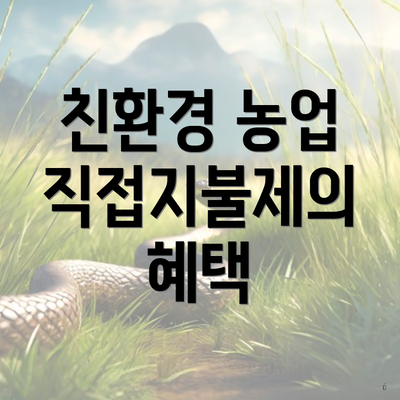 친환경 농업 직접지불제의 혜택