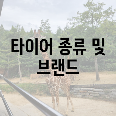 타이어 종류 및 브랜드