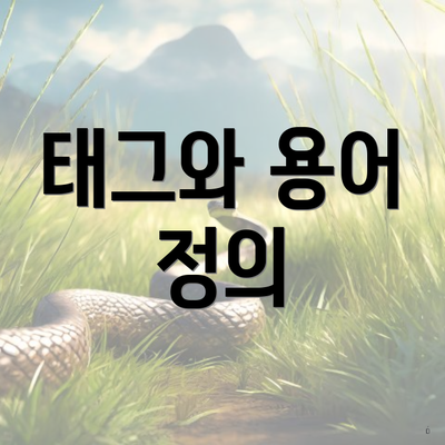 태그와 용어 정의