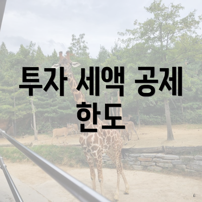 투자 세액 공제 한도