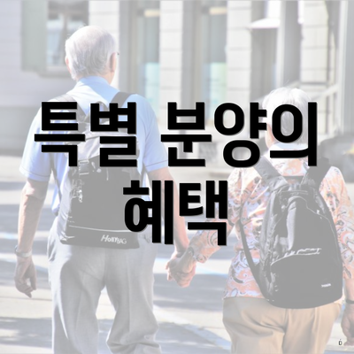 특별 분양의 혜택