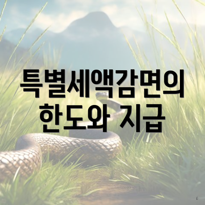 특별세액감면의 한도와 지급