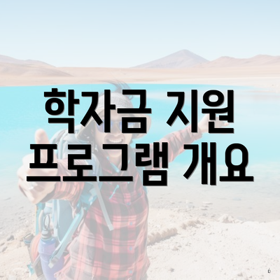 학자금 지원 프로그램 개요