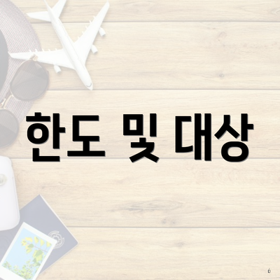 한도 및 대상