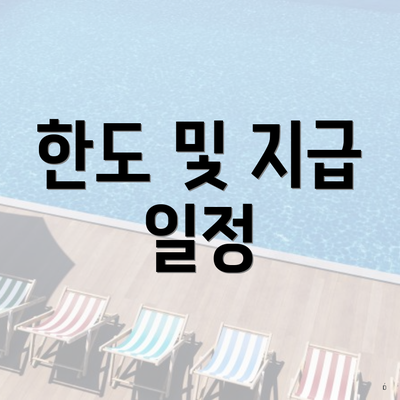 한도 및 지급 일정
