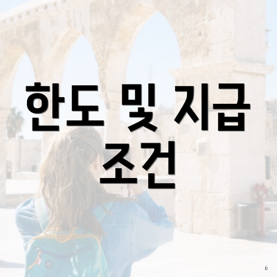한도 및 지급 조건