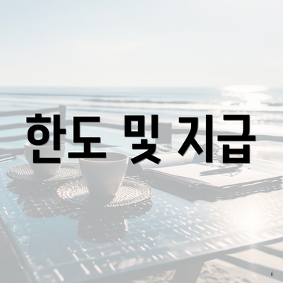 한도 및 지급