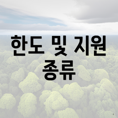 한도 및 지원 종류