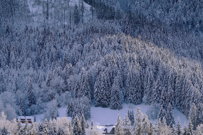 조견표 60갑자표 활용