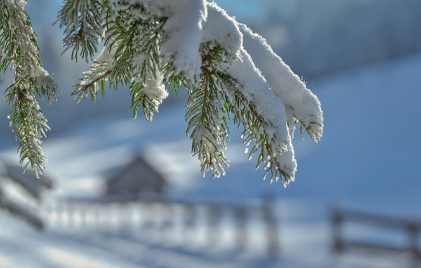 실생활 예시와 바로 쓰는 팁