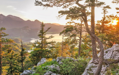 응용과 관리 노하우