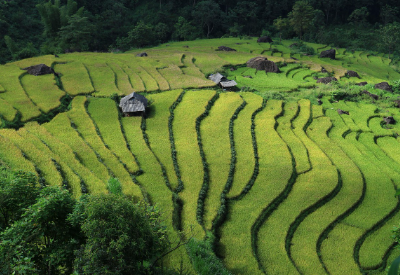 와이프 이보영 나이 프로필 1