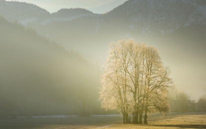 세후를 늘리는 응용 노하우