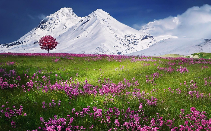 실생활 예시와 한 줄 팁