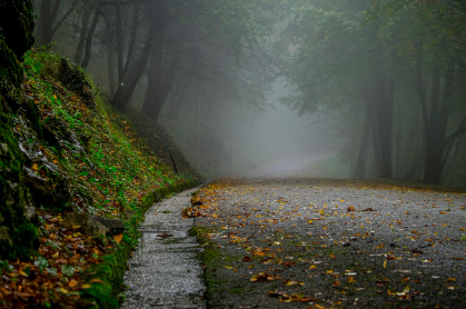 죽음의 의미 읽기