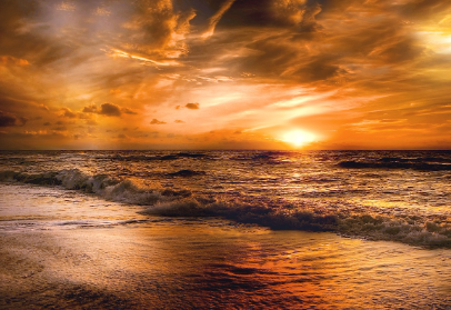 수치로 보는 설득 포인트