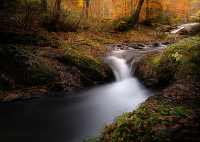 실생활에서 막히는 순간