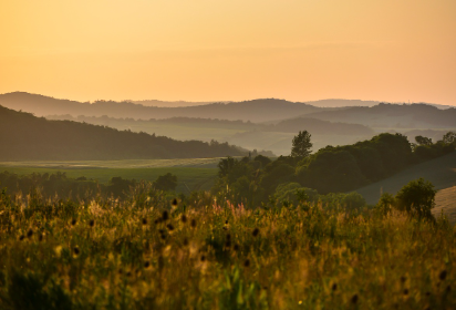 실생활 예시와 팁